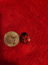 Charger l'image dans la galerie, Animal Charms