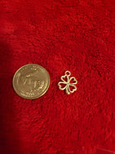 Load image into Gallery viewer, Nature Charms