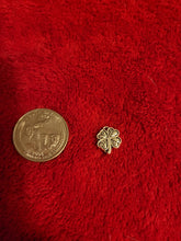 Load image into Gallery viewer, Nature Charms