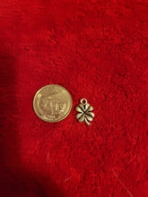 Load image into Gallery viewer, Nature Charms