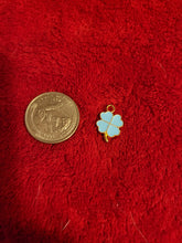 Load image into Gallery viewer, Nature Charms