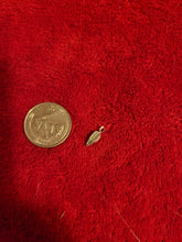 Load image into Gallery viewer, Nature Charms