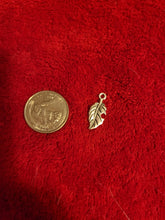 Load image into Gallery viewer, Nature Charms