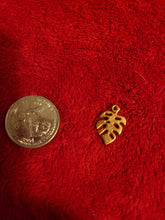 Load image into Gallery viewer, Nature Charms