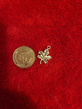 Load image into Gallery viewer, Nature Charms