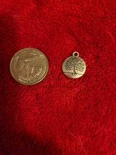 Load image into Gallery viewer, Nature Charms