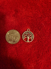 Load image into Gallery viewer, Nature Charms