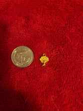 Load image into Gallery viewer, Nature Charms