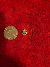 Load image into Gallery viewer, Nature Charms