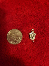 Load image into Gallery viewer, Nature Charms