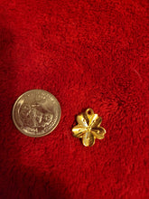 Load image into Gallery viewer, Nature Charms