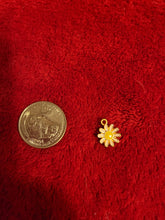 Load image into Gallery viewer, Nature Charms