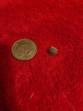 Load image into Gallery viewer, Nature Charms