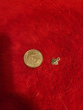 Load image into Gallery viewer, Nature Charms