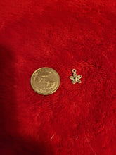 Load image into Gallery viewer, Nature Charms