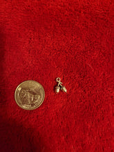 Load image into Gallery viewer, Nature Charms