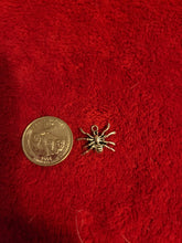 Charger l'image dans la galerie, Spider Charms