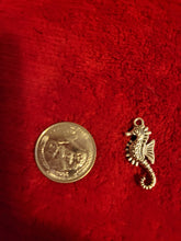 Charger l'image dans la galerie, Ocean Charms