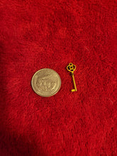 Charger l'image dans la galerie, Lock and Key Charms