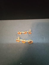 Load image into Gallery viewer, Custom Earrings