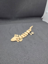 將圖片載入圖庫檢視器 3D axolytl
